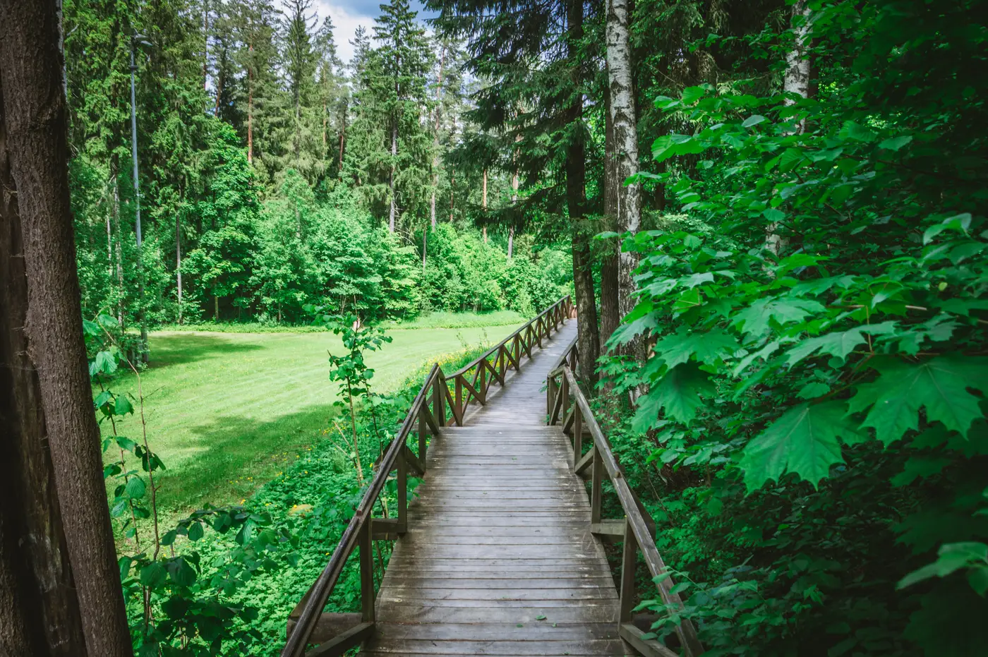 Силичи тропа здоровья