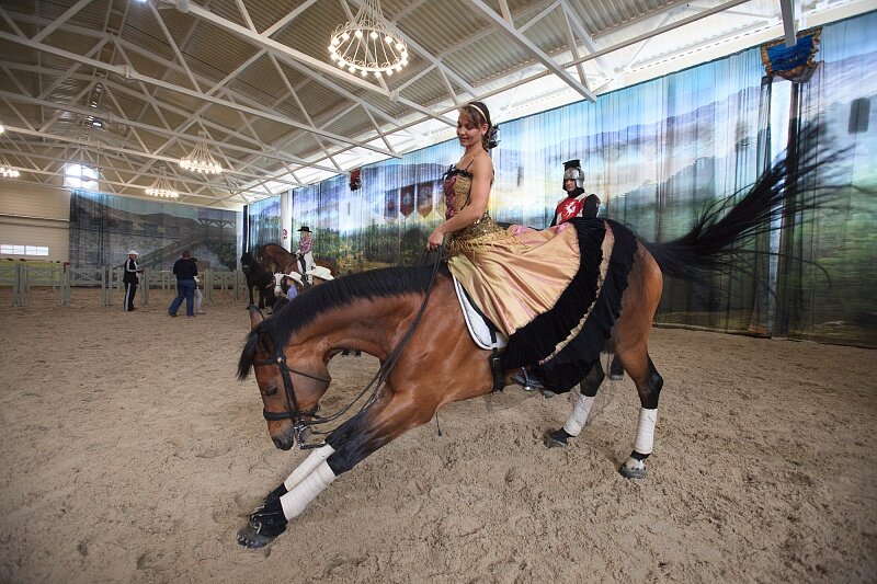 Конное шоу Нарочь