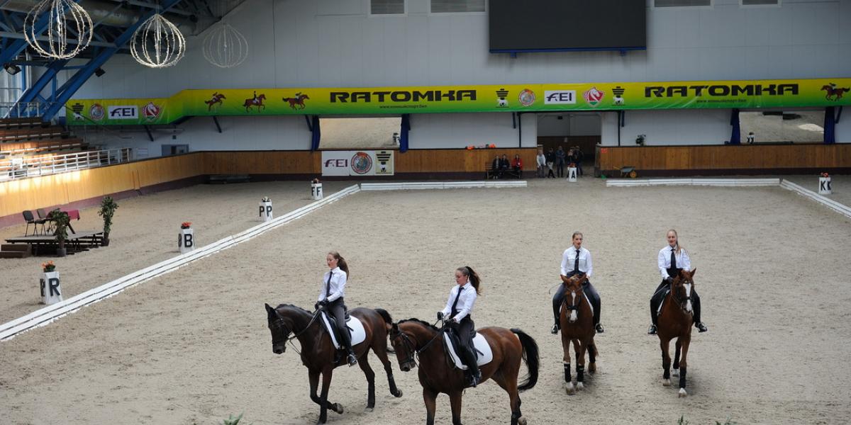 Экскурсия к лошадям в Ратомку