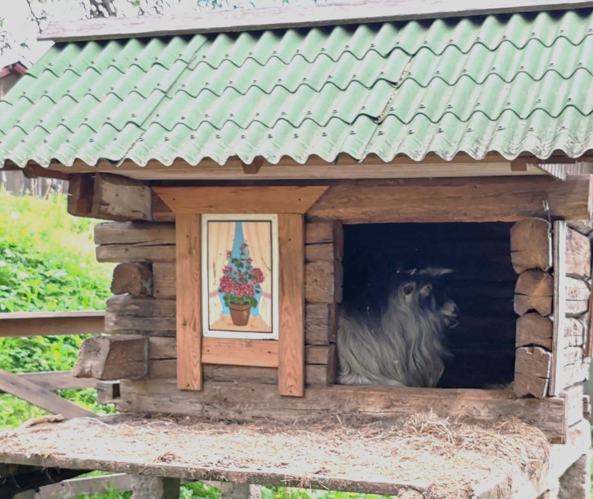 Экскурсия в Мир пчел