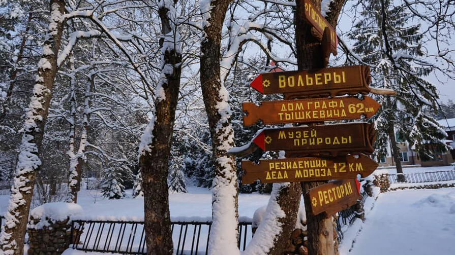 Экскурсия к Дедушке Морозу